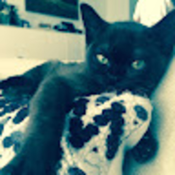 Meet your Posher, Lord - Picture 1 of 1